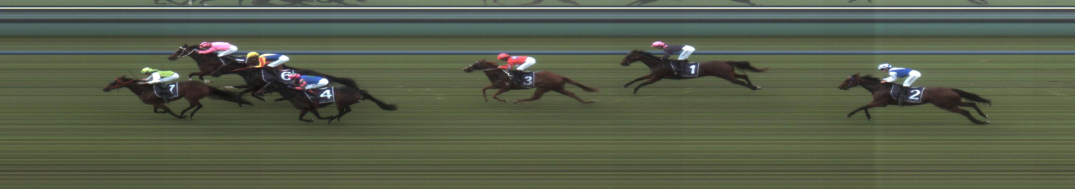 Race Meeting - Australian Turf Club